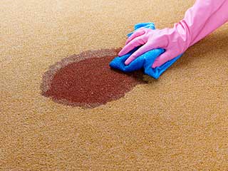 Affordable Stain Removal | Yorba Linda Carpet Cleaning