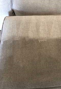 Affordable Upholstery Cleaning Placentia
