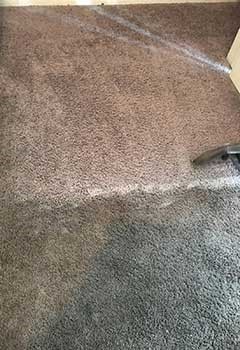 Quick Carpet Stain Removal In Placentia