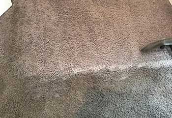 How To Remove Carpet Stains - Placentia CA