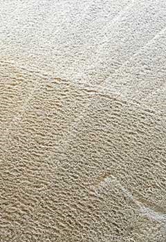 Speedy Carpet Stain Removal For Yorba Linda Home