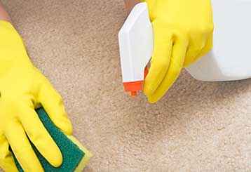 How To Fight The Nastier Stain Of Alls Bad Odor Stain | Yorba Linda