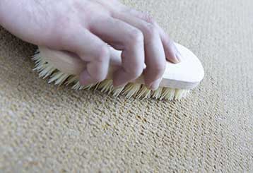 How to Maintain Carpets | Yorba Linda
