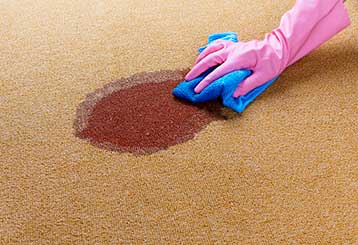 Low Cost Stain Removal | Carpet Cleaning Yorba Linda