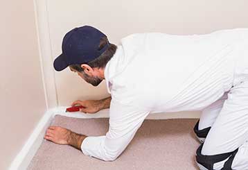 Why Remove Carpet Stains Yourself | Yorba Linda